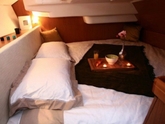 Sun Odyssey 39 DS (ID=316) - фото 22