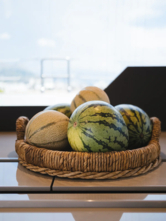 Sunreef 50 (ID=3502) - фото 29