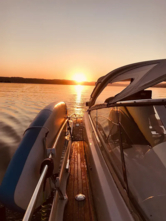 Bavaria Sport 37 (ID=3519) - фото 6