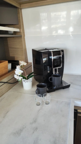 Lagoon 46 (ID=3603) - фото 8