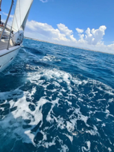 D&D Kufner 54 (ID=3854) - фото 25