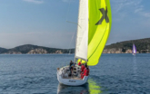 X 4-3 (ID=4219) - фото 11