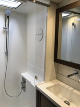 Lagoon 450 Sport (ID=4899) - фото 6