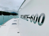 Catlante 600 (ID=4903) - фото 6