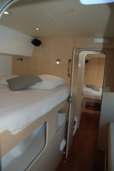 Catlante 600 (ID=4903) - фото 17