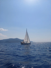 Sun Odyssey 349 (ID=5083) - фото 16