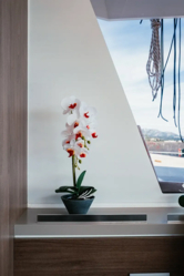 Bali 5.4 (ID=5220) - фото 26