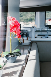 Bali 5.4 (ID=5220) - фото 34