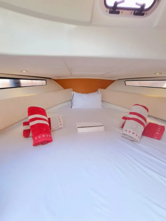 Cap Camarat 755WA (ID=559) - фото 8