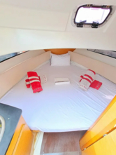 Cap Camarat 755WA (ID=559) - фото 12