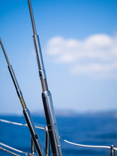 Sunreef 50 (ID=5799) - фото 54