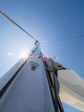 Sunreef 50 (ID=5799) - фото 112