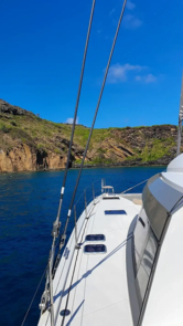 Nautitech 46 Fly (ID=5807) - фото 9