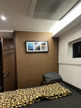 Lagoon 40 (ID=6138) - фото 6