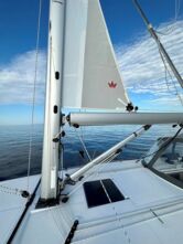 Bavaria C42 (ID=6155) - фото 22