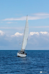 Hanse 415 (ID=6408) - фото 7