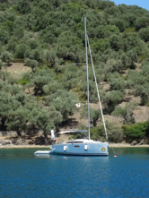 Sun Odyssey 349 (ID=6543) - фото 11