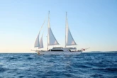 Motoryacht (ID=7058) - фото 32