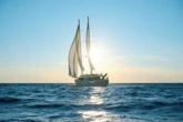 Motoryacht (ID=7058) - фото 31