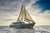 Luxury Sailing Yacht (ID=7059) - фото 98