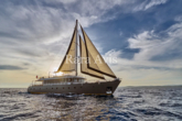 Luxury Sailing Yacht (ID=7059) - фото 91