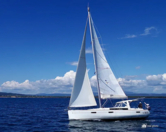 Oceanis 45 (ID=7241) - фото 11