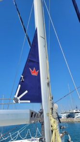 Bavaria 40 (ID=7312) - фото 23