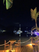 CatFlash 43 (ID=7331) - фото 23