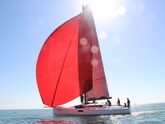 Pogo 12.5 (ID=7608) - фото 7