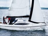 Maxus 33.1 RS (ID=80) - фото 16