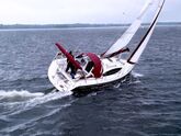 Maxus 33.1 RS (ID=81) - фото 7