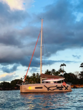 Excess 11 (ID=8223) - фото 4