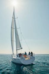 Elan Impression 50.1 (ID=9567) - фото 45