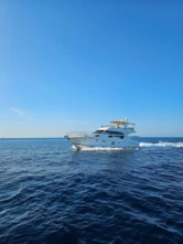 Prestige 50 Fly (ID=9829) - фото 15