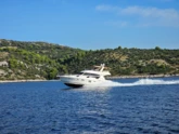 Prestige 50 Fly (ID=9829) - фото 8