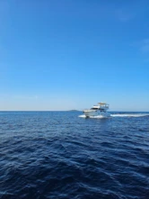 Prestige 50 Fly (ID=9829) - фото 14