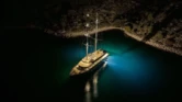 Motoryacht (ID=9879) - фото 8