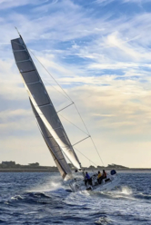 Pogo 44 (ID=9991) - фото 5