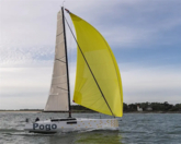 Pogo 44 (ID=9991) - фото 18
